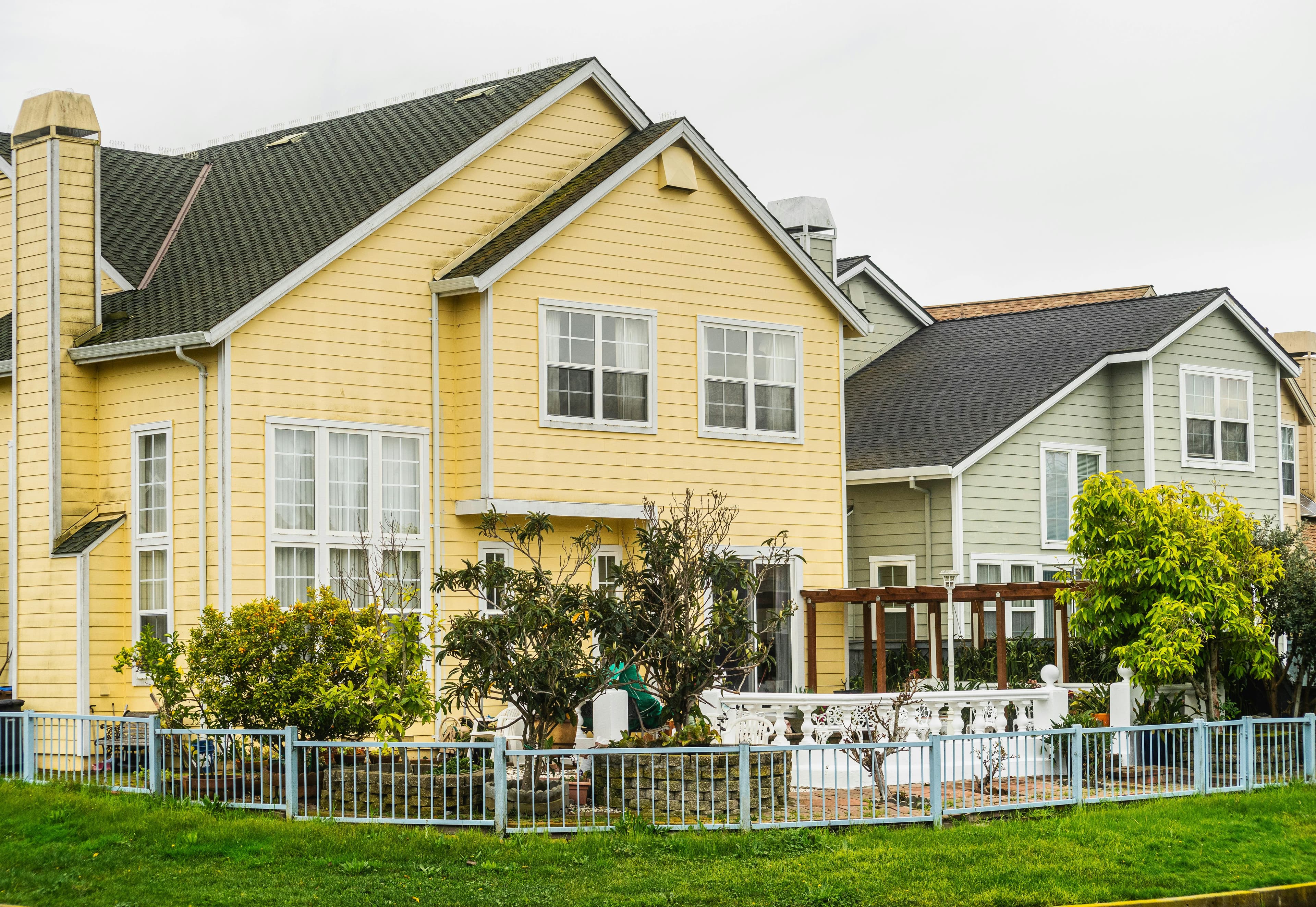 Two suburban front yards side by side with crisp lawn edges meeting a shared driveway in soft afternoon light