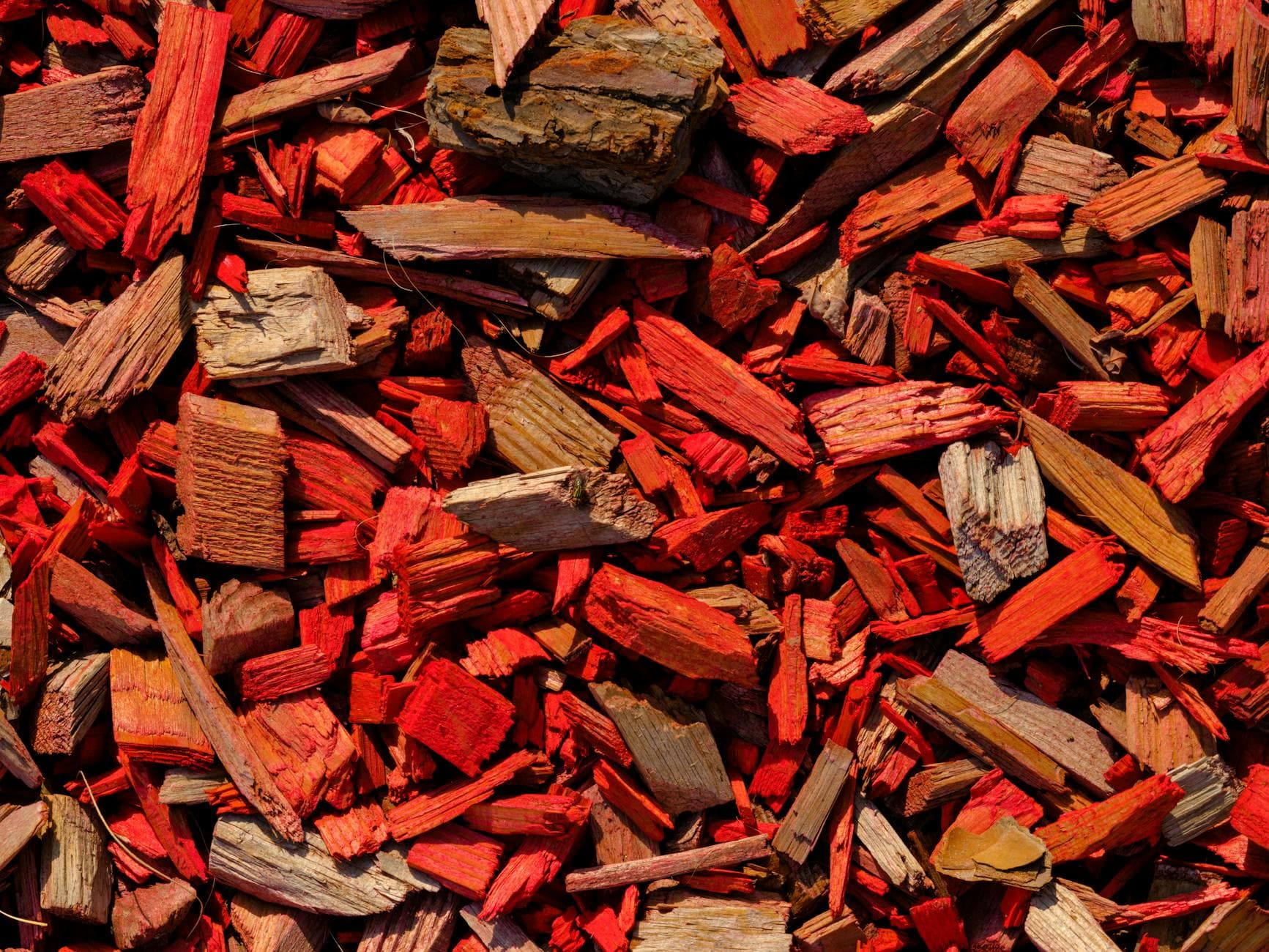 Fresh mulch installation in a residential garden bed